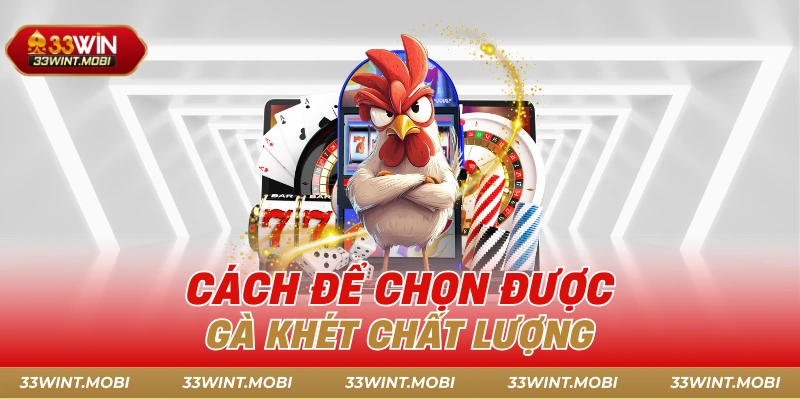 Cách để chọn được gà khét chất lượng